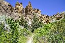_DSC0593_thumb.jpg