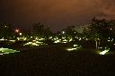 DSC07415.JPG