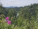 20260625_104601.jpg