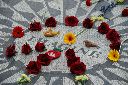 DSC08161.JPG