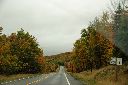 DSC08940.JPG