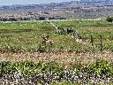 20260622_105257.jpg