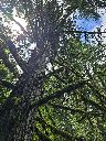20260628_134352_thumb.jpg