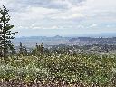 20260619_133457.jpg