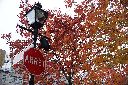 DSC08684-thumb.jpg