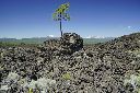 _DSC0497_thumb.jpg
