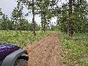 20260619_130348.jpg