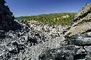 _DSC0524_tumb.jpg