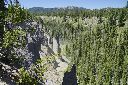 _DSC0678_thumb.jpg