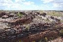 04_PetrifiedForest034.jpg
