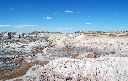 04_PetrifiedForest045b.jpg