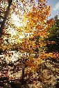 DSC09439.JPG