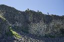 _DSC0465_thumb.jpg
