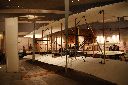 DSC07632.JPG