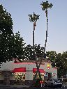20260703_203553_thumb.jpg