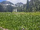 20260624_121807.jpg