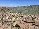 20260622_120837.jpg