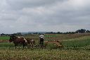 DSC07654.JPG