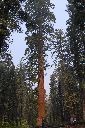 16_Yosemite105.JPG